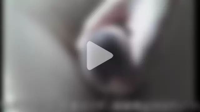 ikkakusai11 photo 25