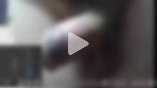 ikkakusai11 photo 11