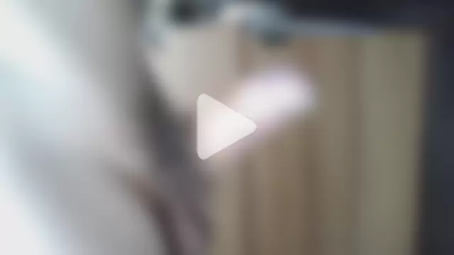 ikkakusai11 photo 12