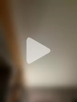 ildoge photo 2