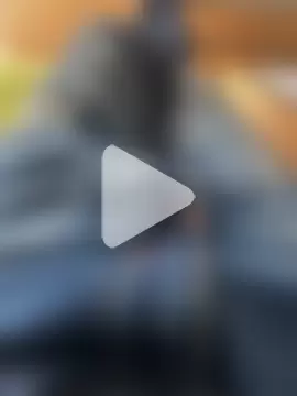 immerwiedergeil photo 14