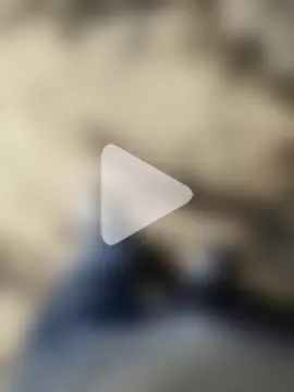 indian_pavi photo 14