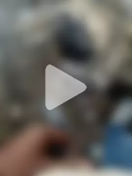 indian_pavi photo 13