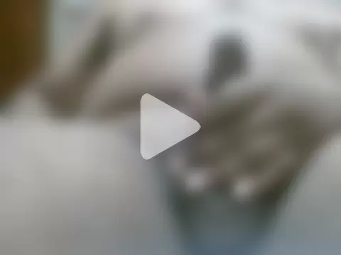 indiancock86 photo 8