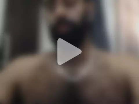 indianhairybull photo 1