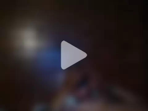 insane777 photo 1