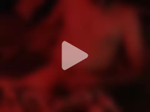 intuit42069 photo 25