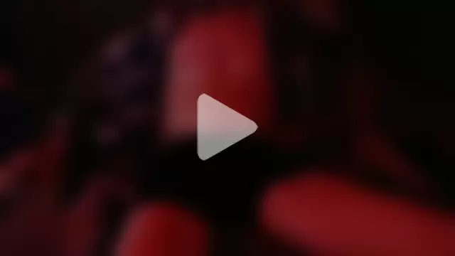 intuit42069 photo 15