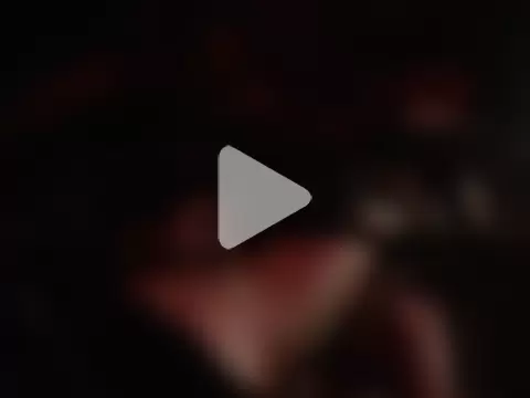 intuit42069 photo 14