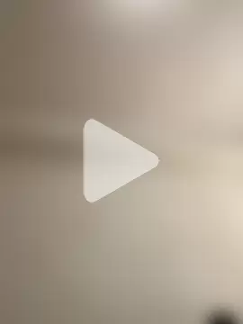 islandvybee55 photo 18