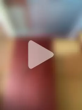 islandvybee55 photo 9