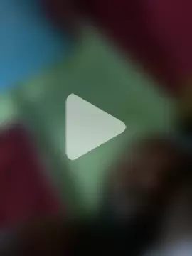 islandvybee55 photo 8