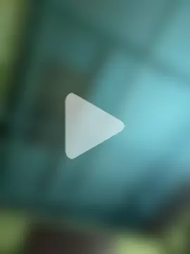 islandvybee55 photo 18