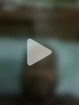 islandvybee55 photo 15