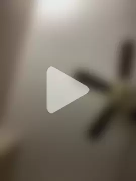 islandvybee55 photo 22