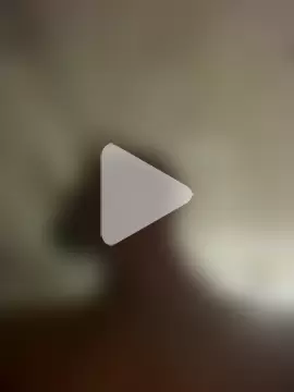 islandvybee55 photo 9