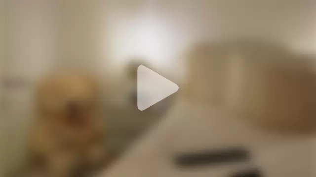 issa_baby2 photo 3