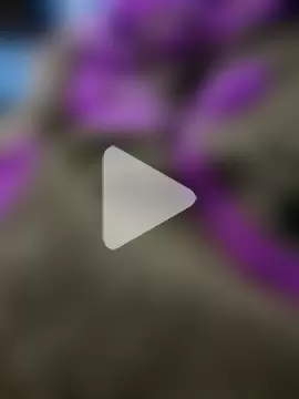 jameswilllam008 photo 1