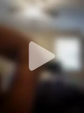 jayzilla2020 photo 16