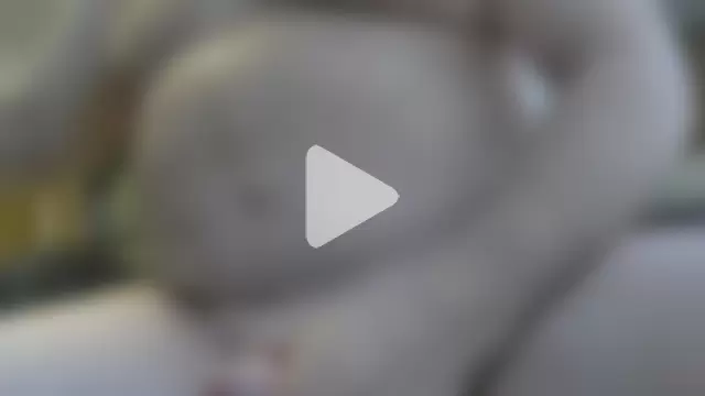 jerkoutdoor70 photo 3