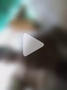 jesuss_1828 photo 3