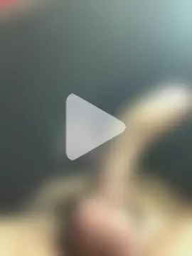 jesusthedonkey photo 9