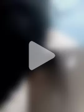 jesusthedonkey photo 2