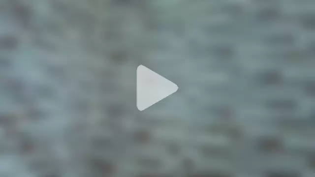 joelcallvil1 photo 4