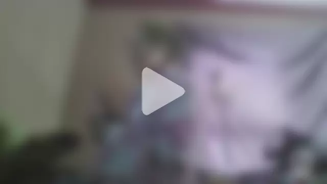 jojosbizarrelyf photo 8