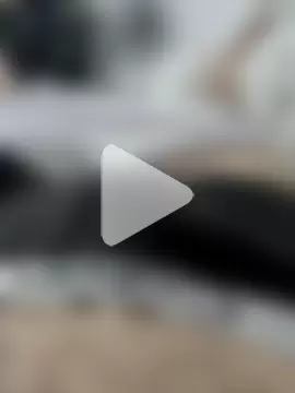 josegozagostoao photo 5