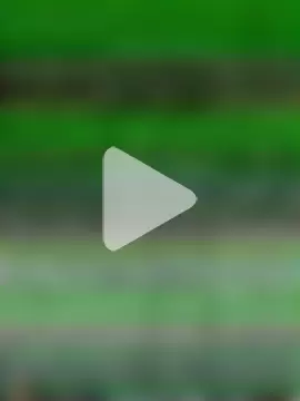 justotwotimes photo 2