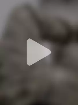 justwatchbaby photo 7