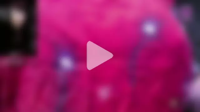 kalpanaaishaa photo 16