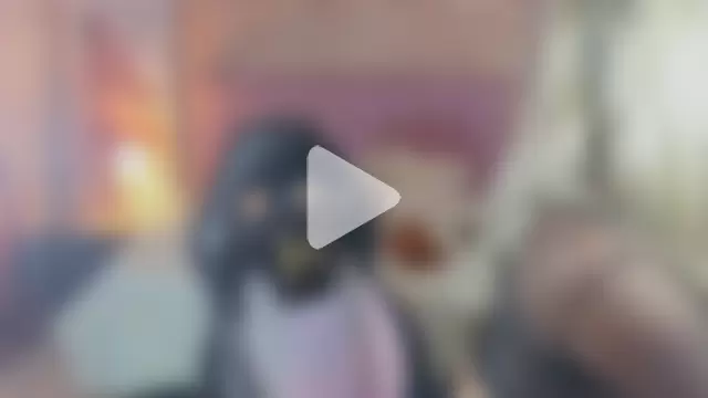 katalinahell2 photo 6