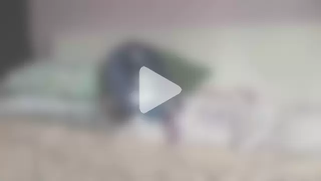 katymojadit photo 16