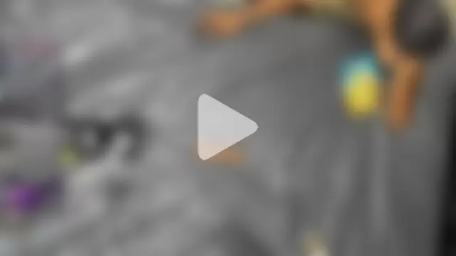 kenner_jacksom photo 24