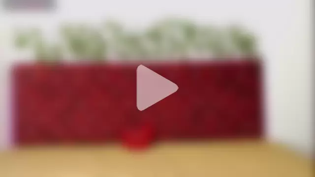 killua_parker photo 11