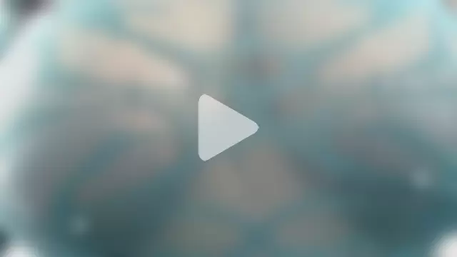 kimara_lion photo 11