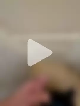 kisbiro77777 photo 11