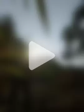 kittyplay2 photo 26