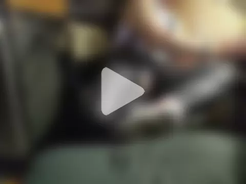 ksmasterfordog photo 2