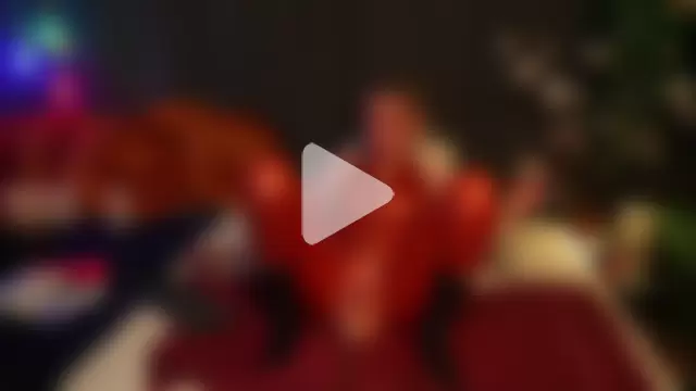 lacie_le_beauty photo 20