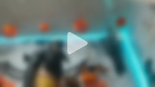 latintransbigcum photo 5