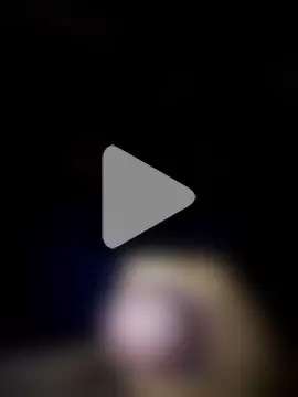 lavancaafiada photo 5