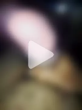 lavancaafiada photo 1