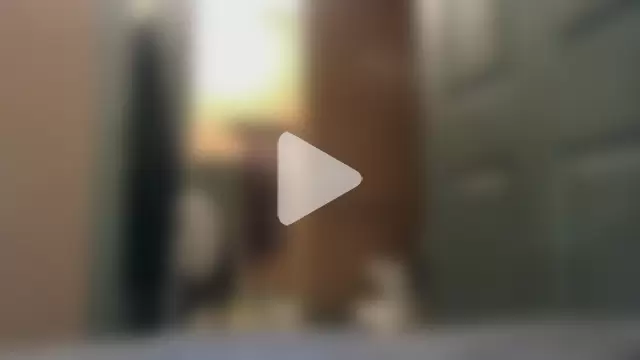 leahcimnikral photo 3