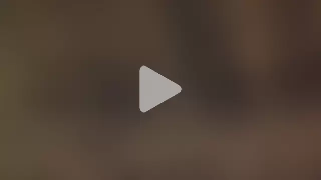 leccaleccafiga photo 5