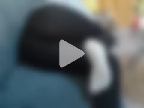 leslysexygirl photo 9