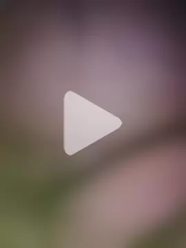letsplayq photo 1