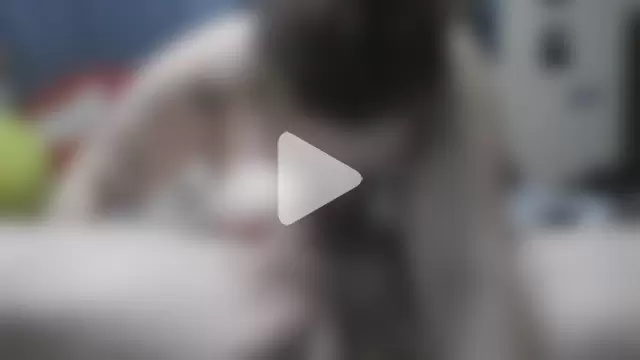 lickablelynn87 photo 1